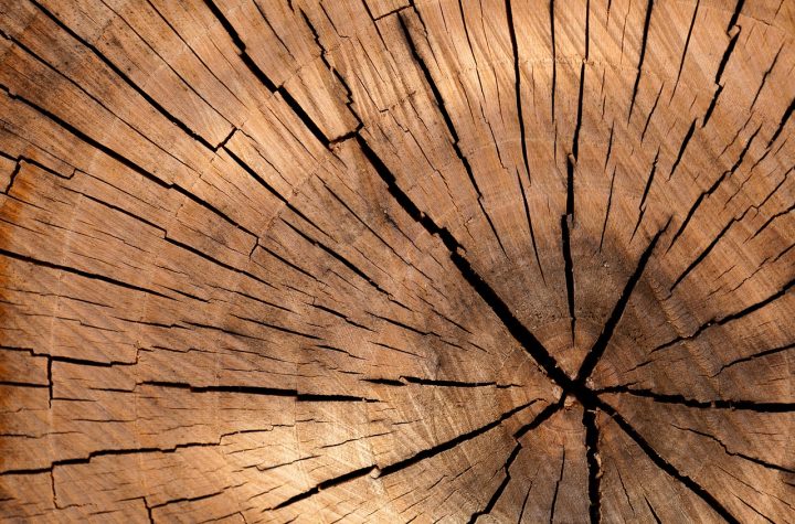 Frezy do drewna: szyte na miarę kształtowanie drewnianych arcydzieł